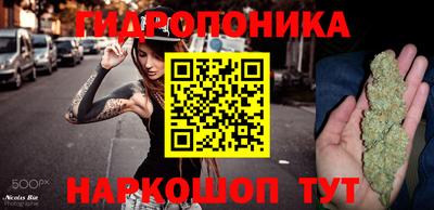 PSILOCYBIN Пушкино