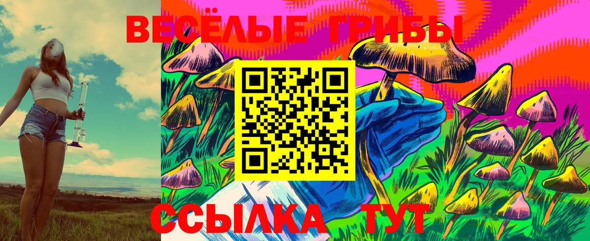 Псилоцибиновые грибы GOLDEN TEACHER  Вход с VPN  Иркутск 